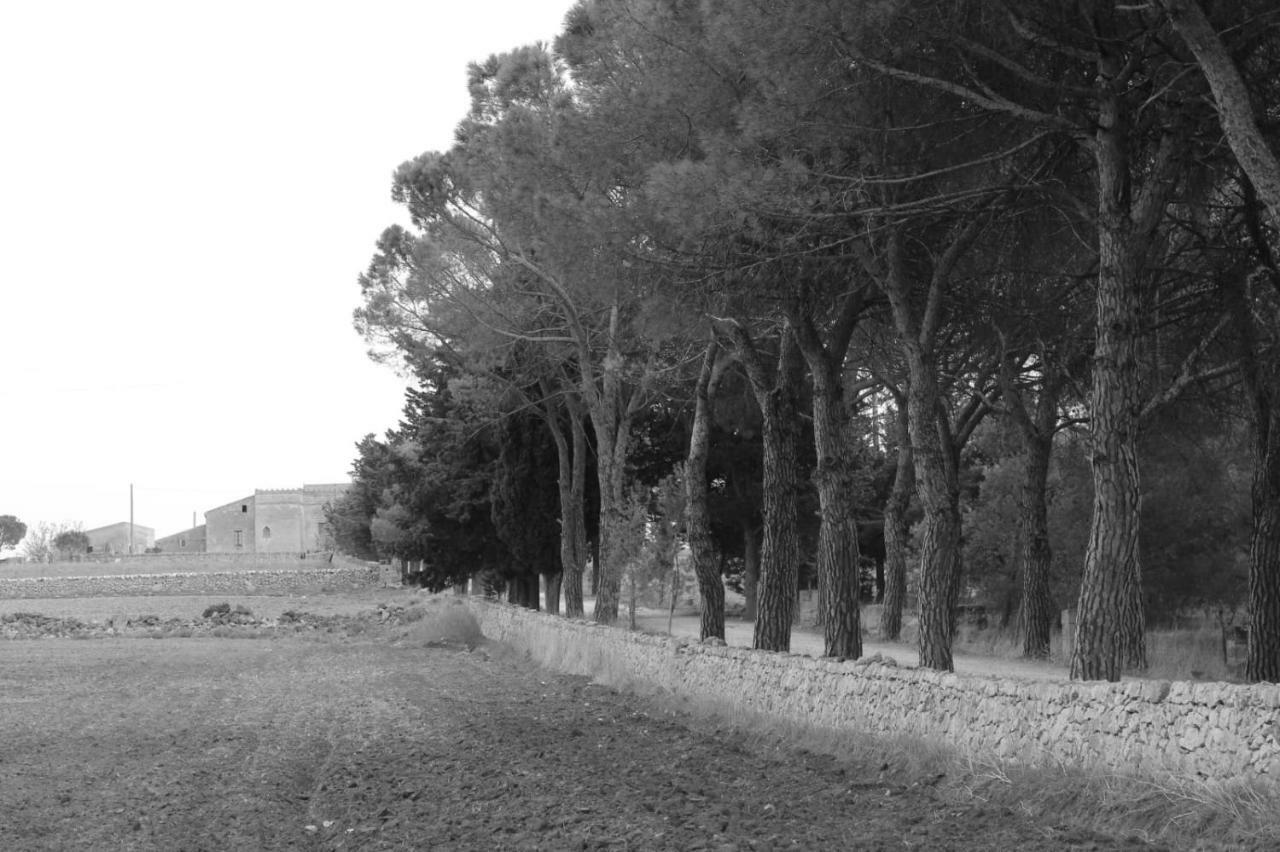 Bed and Breakfast Giardino Della Moscatella Altamura Exteriér fotografie